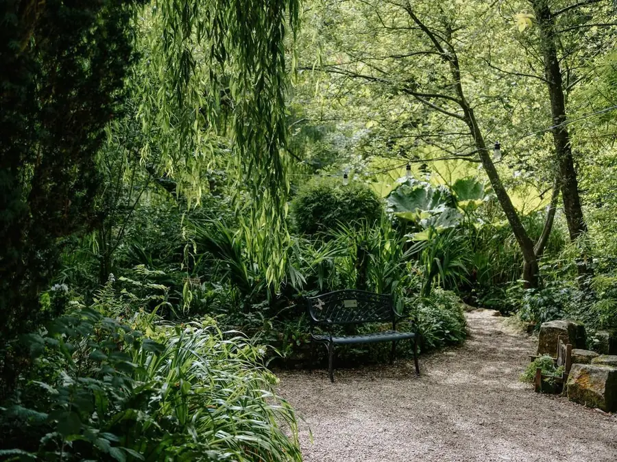 Jardin ombragé avec allée et banc
